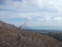 rra delle Concazze-201100508 012